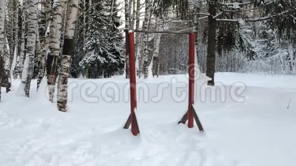 冬季公园体育活动水平杆视频的预览图