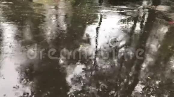 雨滴落在城市里潮湿的沥青大雨和水坑上视频的预览图