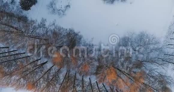 空中视频顶部的风景如画的冬季森林公园与树木在雪视频的预览图