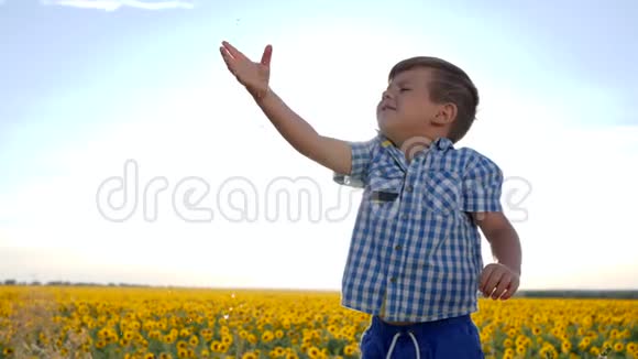 男孩用向日葵在背景田野上抓着透明的水滴孩子在流水下洗手臂视频的预览图