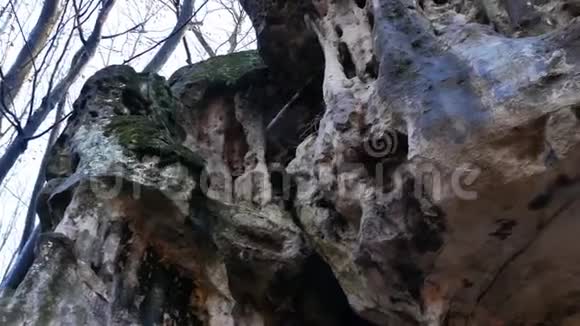森林中的洞穴视频的预览图