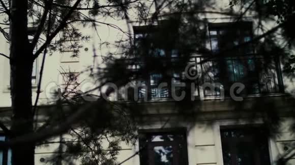 白色现代房子的墙被冷杉树枝遮住了视频的预览图