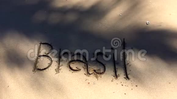 海滩上有棕榈阴影的巴西信息视频的预览图