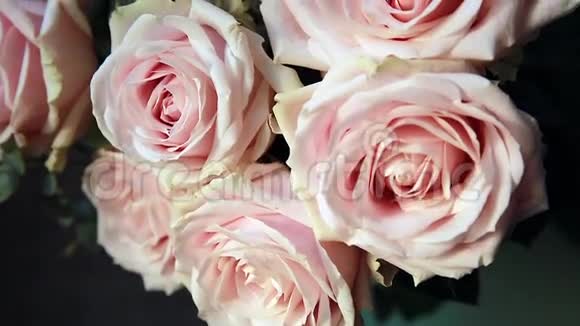 粉红玫瑰花束视频的预览图