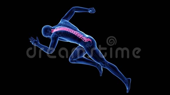 短跑运动员的脊椎视频的预览图