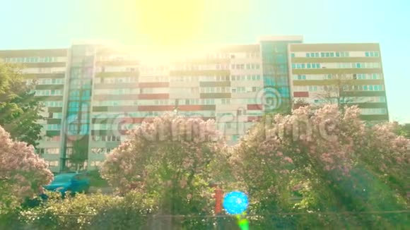莱比锡的建筑立面和盛开的紫丁香视频的预览图