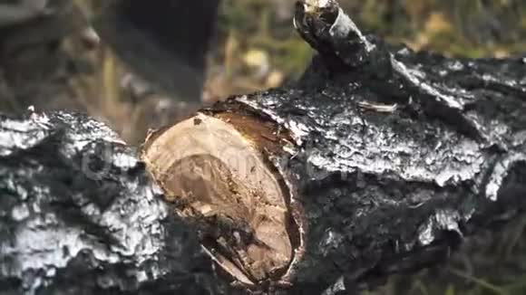 用斧头砍木头视频的预览图