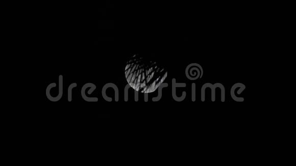 在神秘的黑暗夜空满月万圣节的幽灵主题月光下的棕榈树视频的预览图