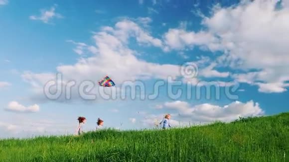 有趣又无忧无虑的孩子们在绿色的草地上奔跑玩风筝快乐的童年视频的预览图