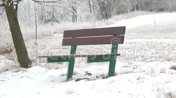 雾蒙蒙的冬景和绿凳视频的预览图
