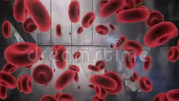 红细胞动画与背景人物视频的预览图