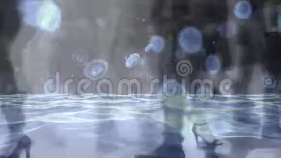蓝冠病毒背景动画视频的预览图