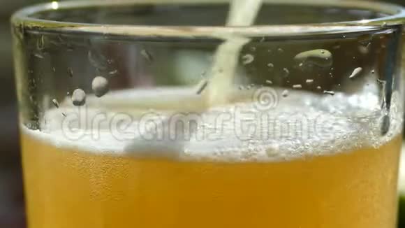 啤酒倒入玻璃杯中美丽的泡泡在一杯泡沫啤酒里飞舞视频的预览图