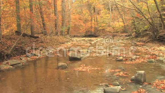 落基溪在秋天的树林里视频的预览图