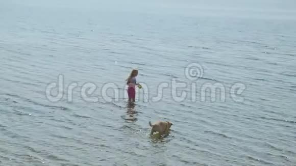 小女孩带着一只狗在河边的海滩上散步视频的预览图