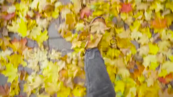 一个穿皮鞋的年轻人走在一条落叶的小路上视频的预览图