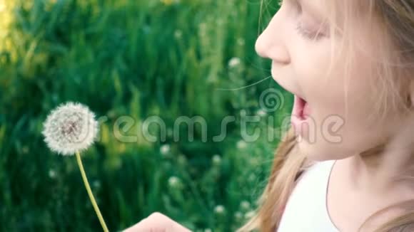 小女孩吹着绿草坪上的蒲公英花视频的预览图