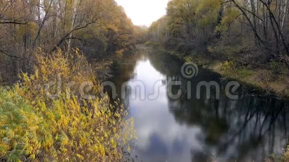 池塘被黄色的秋天森林包围着视频的预览图