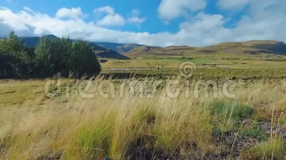 阳光明媚的湖岸上冰岛乡村草原全景视频的预览图