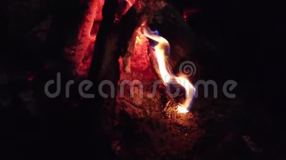 关闭篝火火焰露营火超级慢动作烧柴火视频的预览图