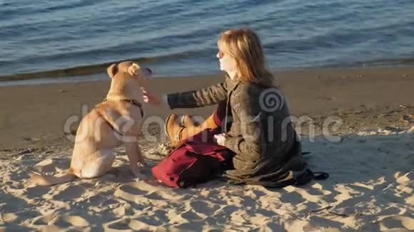 河边海滩上的一位年轻女子喂了一只棕色的狗Lobrodor春天或寒冷的夏天视频的预览图