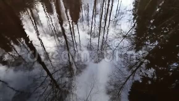 河水水面上树木树枝的反射视频的预览图