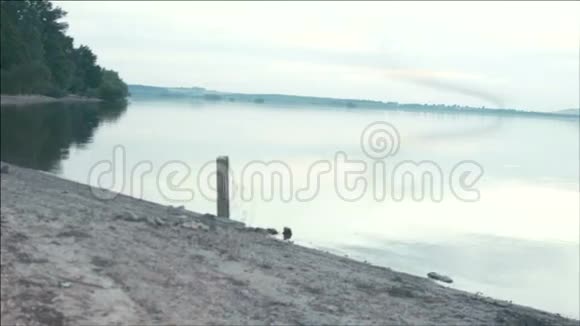 夏天平静的湖面视频的预览图