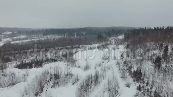 飞行在冬季森林景观的多云天气与降雪视频的预览图