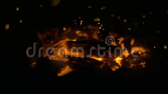 熊熊燃烧的篝火在黑暗中燃烧视频的预览图