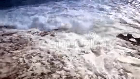 海洋泡沫大观2视频的预览图