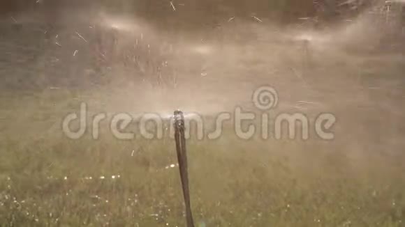 希腊农田上的洒水装置视频的预览图