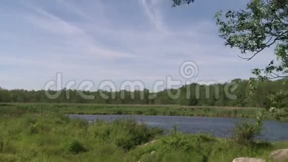 被隔离的河流4视频的预览图