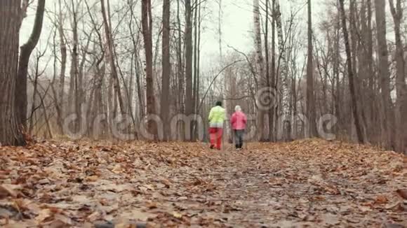 秋天公园的两位快乐的老年妇女接受了训练北欧在黄叶间散步视频的预览图
