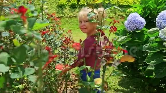 小女孩站在花丛中抚摸着公园里的花瓣视频的预览图