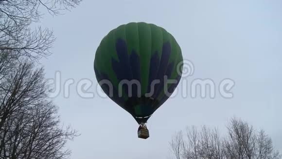 热气球在无叶树上空飞行视频视频的预览图
