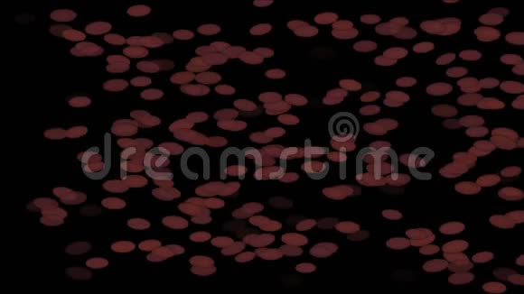 红细胞和藻类细菌孢子游动蠕虫卵背景视频的预览图