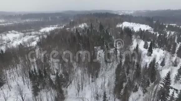 飞行在冬季森林景观的多云天气与降雪视频的预览图
