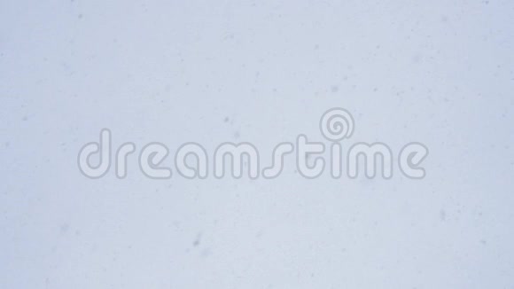 冬天的天空下着雪在寒冷的冬季白色的蓬松雪花从天而降视频的预览图