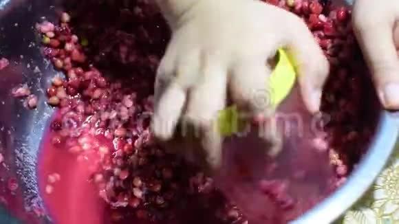宾尼安蒂德斯马布尼乌斯家庭葡萄酒加工用酒杯彻底粉碎水果视频的预览图