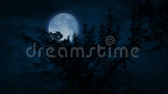 夜晚树顶后的大月亮视频的预览图