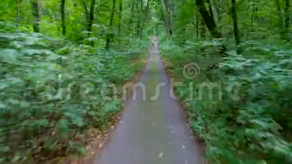 一家人妈妈戴着帽子穿着衣服带着一篮子花爸爸走着在路上站起来在森林里他们开车视频的预览图