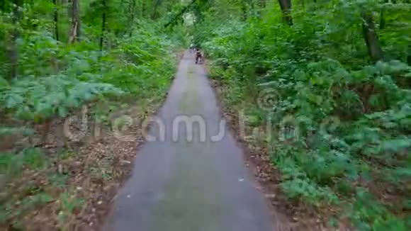 一家人妈妈戴着帽子穿着衣服带着一篮子花爸爸走着在路上站起来在森林里他们开车视频的预览图