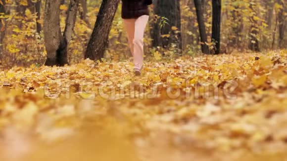 在秋天的风景中靠近女人奔跑视频的预览图