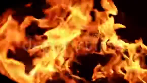 纸张燃烧明亮的火焰视频的预览图
