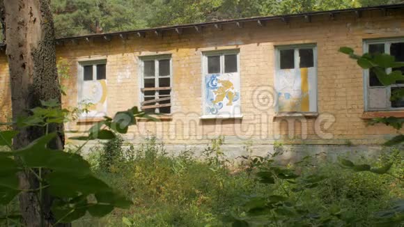 森林中废弃房屋的破窗夏日视频的预览图