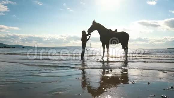 女孩在海滩上抚摸她的马视频的预览图