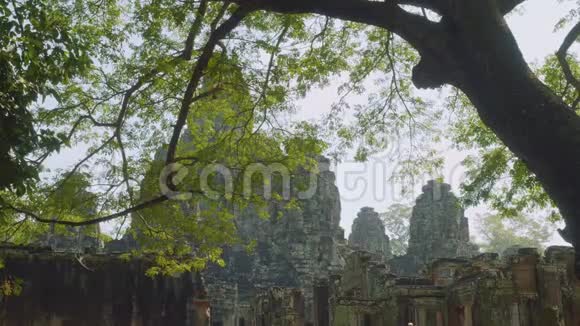 吴哥窟神庙的景像是绿树叶视频的预览图