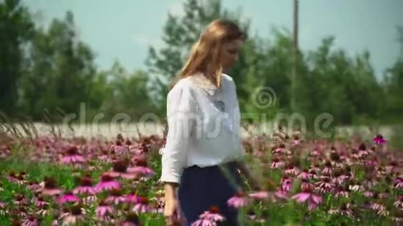 美丽的女孩走在花田里视频的预览图