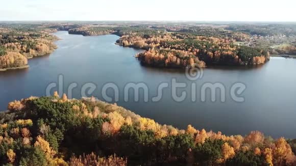 秋天河流或湖泊周围的混合森林视频的预览图