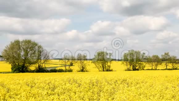 夏季英国农村的作物视频的预览图